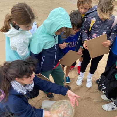 Year 4 Explored Cracking Coastlines in Parede Beach