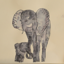 Book & Art Week Inspired Elephant Watercolours by Year 4