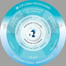 IB Diploma Options 