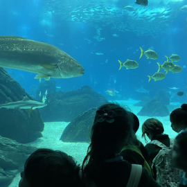 3º ano foi ao Oceanário