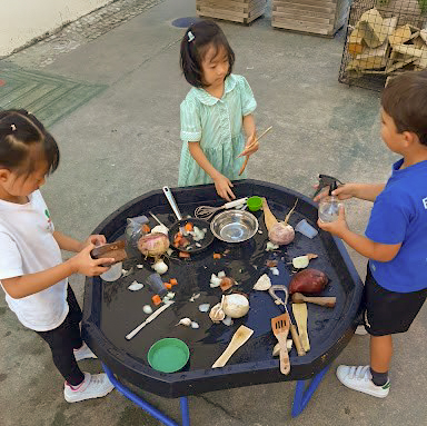 Outdoor Learning in Foundation